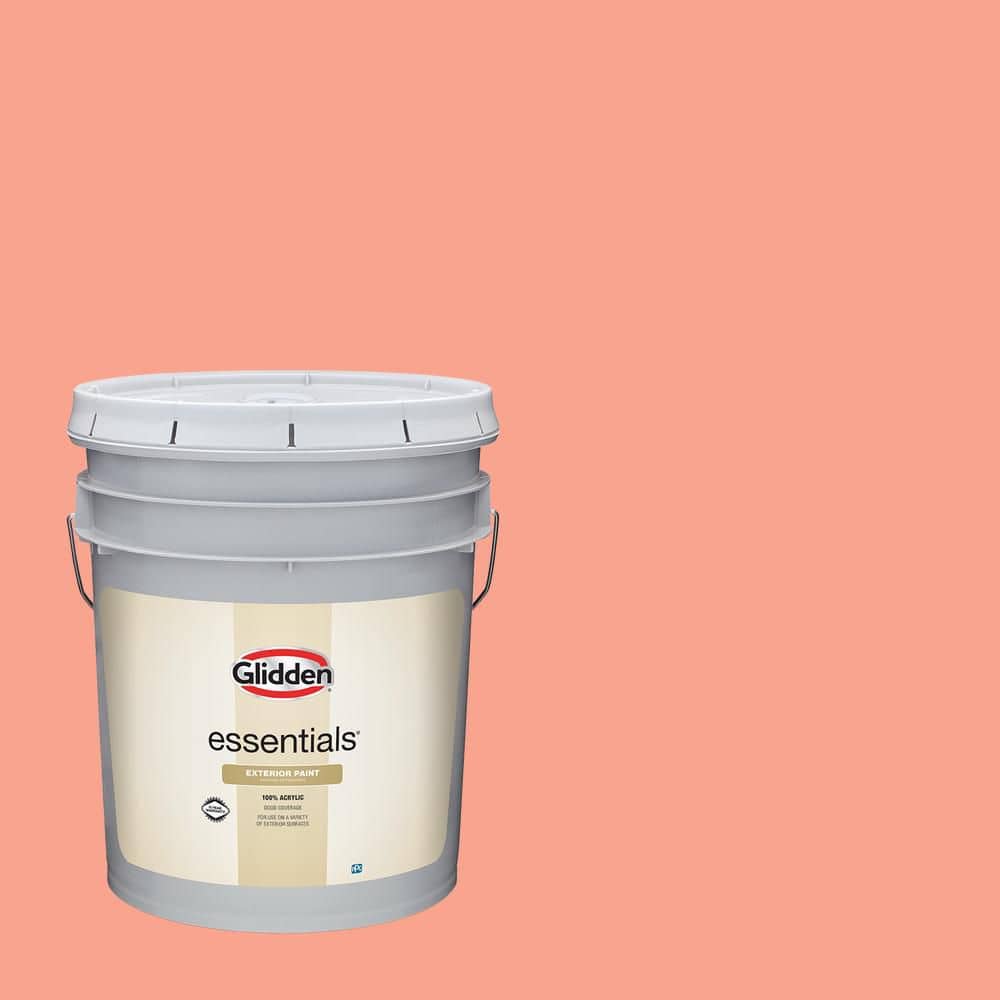 5 gal. Coral Serenade PPG1193-5 Flat Exterior Paint product image for price tracking