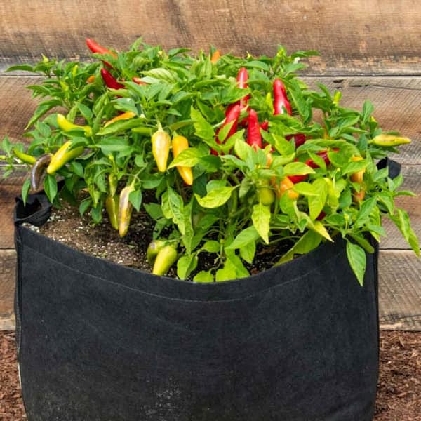 15 Gal. Capacity Expandable Patio Grow Tub
