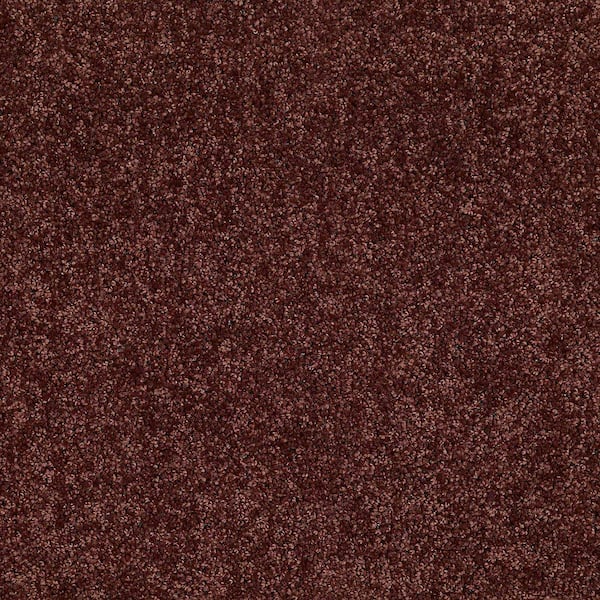 TrafficMaster 8 in. x 8 in. Texture Carpet Sample - Alpine - Color Warmth