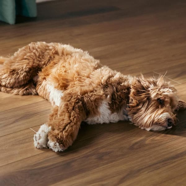 Malibu Wide Plank French Oak Covelo 20 MIL 7.2 in. x 60 in. Click