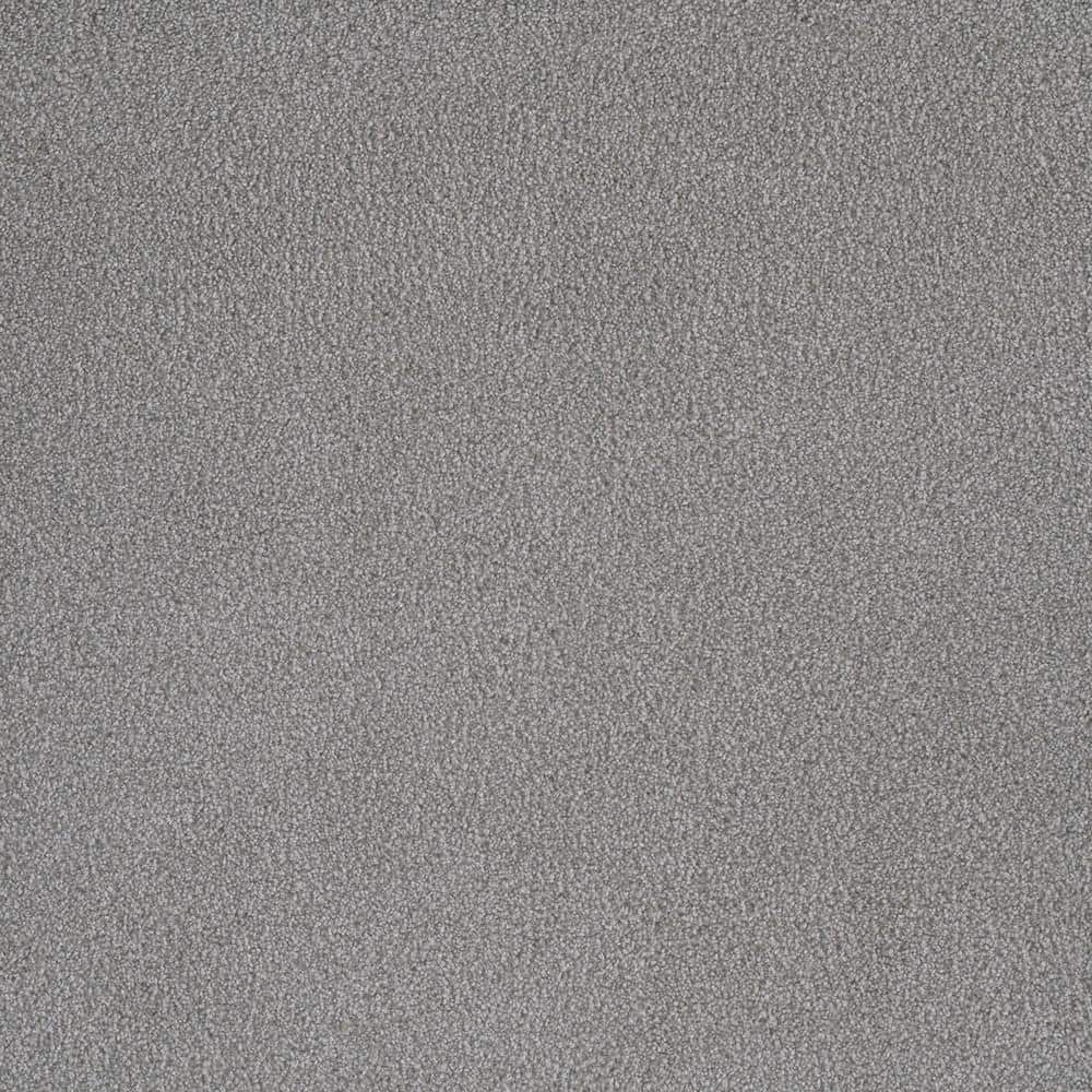 Home Decorators Collection First Class I Emery Beige 32 oz. SD Polyester Texture Installed