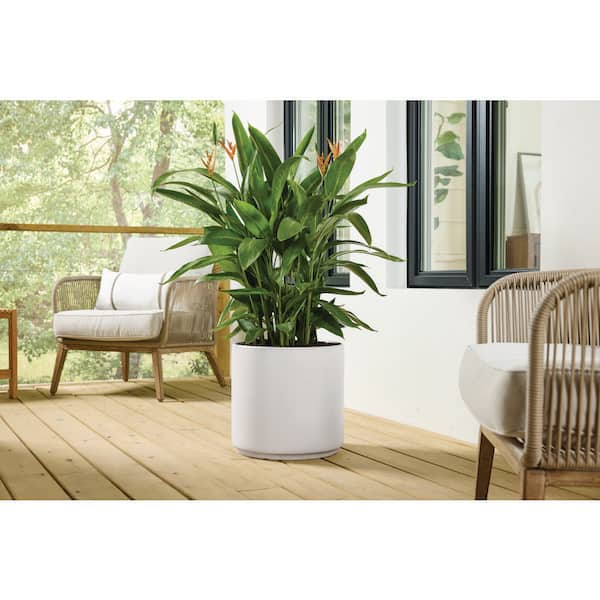 15.6 in. Eloise Large Modern White Ceramic Cylinder Planter (15.6 in. D x 15 in. H) with Drainage Hole