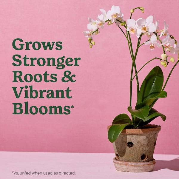 Miracle-Gro Indoor Potting Mix for Orchids 8 qt. Soil For Indoor Container  Plants, Coarse Blend for Epiphytic Orchids 74778430 - The Home Depot