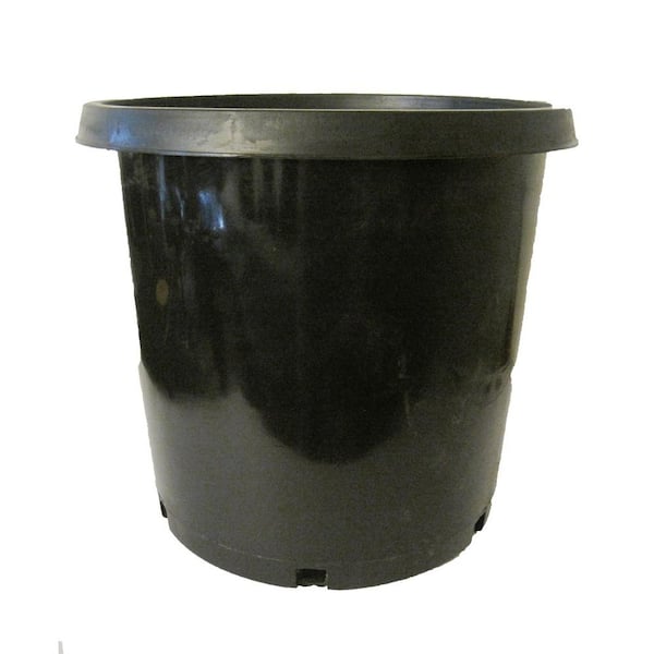 Niu 10 Gal. Black Plastic Nursery Pot