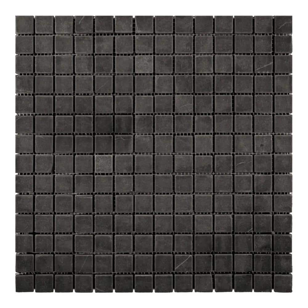 Noir Luxe 4 in. x 5 in. Honed Charcoal Black Marble Mosaic Square Wall and Floor Tile Sample price history on PriceWatchPro