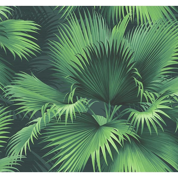 Kenneth James Endless Summer Dark Green Palm Dark Green Wallpaper Sample  PS40104SAM - The Home Depot