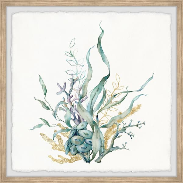 Unbranded "Marine Gardens" by Marmont Hill Framed Nature Art Print 32 in. x 32 in.