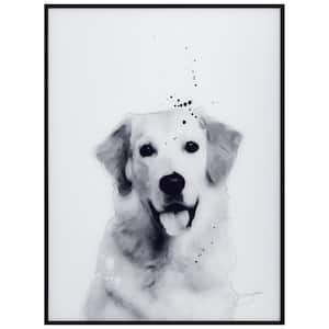 "Golden Retriever" Black and White Pet Paintings on Printed Glass Encased with a Gunmetal Anodized Frame