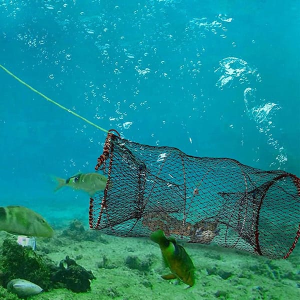 Green 6 Holes Magic Fishing Bait Trap Cast Net Cage Shrimp Crawdad