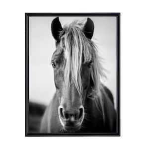 Black and White Wild Horse Framed Canvas Wall Art - 24 in. x 32 in. Size, by Kelly Merkur 1-pc Black Frame