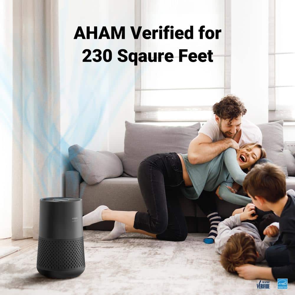 Winix A230 Black HEPA 4-Stage Air Purifier with PlasmaWave Technology