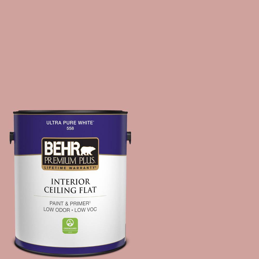 1 gal. #S150-3 Rose Pottery Ceiling Flat Interior Paint price history on PriceWatchPro
