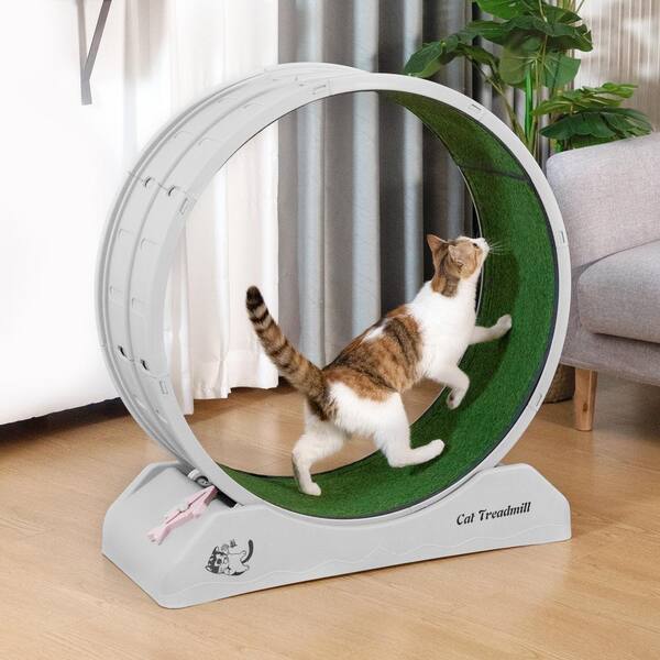 Cat Wheel With Pedometer 10 Minutes Fast And Easy Installation 41 Large Cat Treadmill Running Fitness