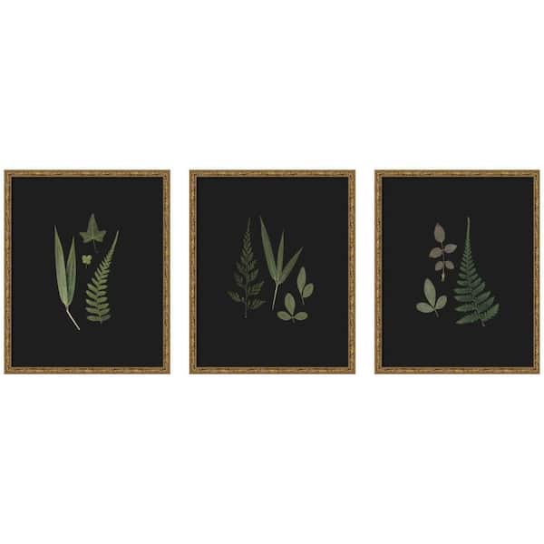 3 Piece Belvedere Botanical Leaf Study by Stephanie Klatt Nature Framed Art Print Set 21 in. x 55 in.