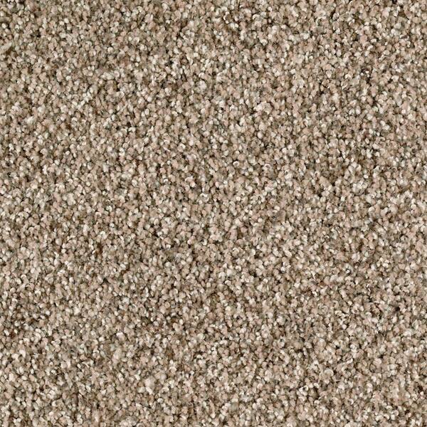 Lifeproof 8 in. x 8 in. Texture Carpet Sample - Briarmoor I -Color Mystic Wood