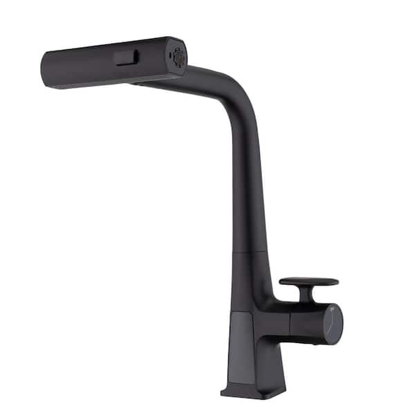 FLG Single-Handle Pull Out Sprayer Kitchen Faucet LED Temperature Display Single-Hole Waterfall Sink Faucets in Matte Black