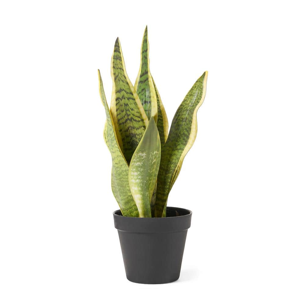 Noble House Deschutes 1.5 ft. Artificial Snake Plant 94271 The Home Depot