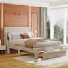 Qualler Beige Wood Frame Full Size Platform Bed with Velvet Upholstered and a Big Drawer FSUPLK241A
