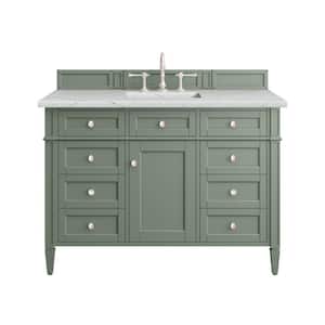 Brittany 48.0 in. W x 23.5 in. D x 33.8 in. H Bathroom Vanity in Smokey Celadon with Ethereal Noctis Quartz Top