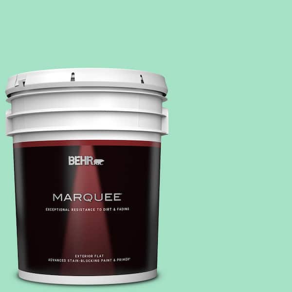 BEHR MARQUEE 5 gal. #470A-3 Reef Green Flat Exterior Paint & Primer
