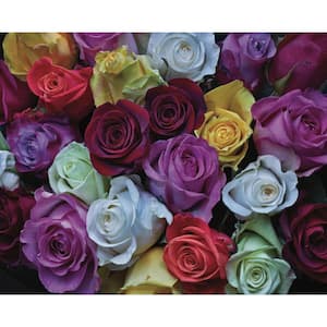 Palette of Roses Puzzle by William Carr