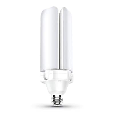 LED Light Bulbs Case of 10 LED15PAR30SNFL/5K/D 120V 