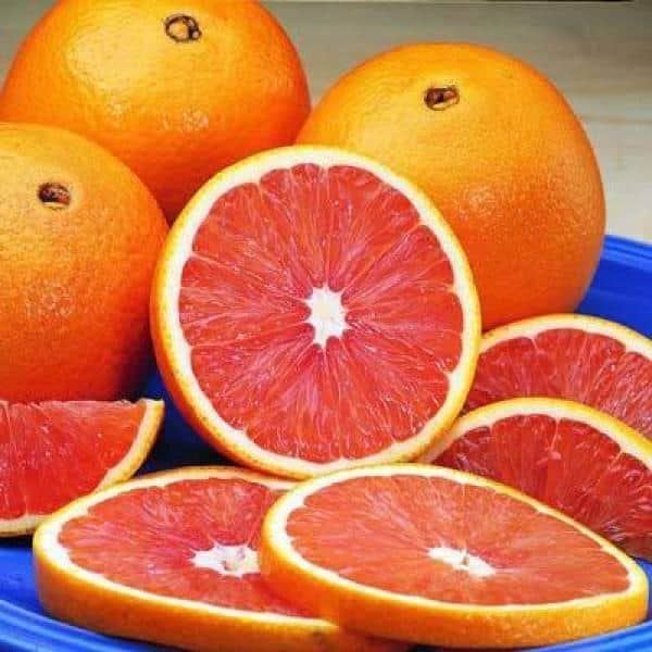 are oranges cara cara oranges safe for dogs