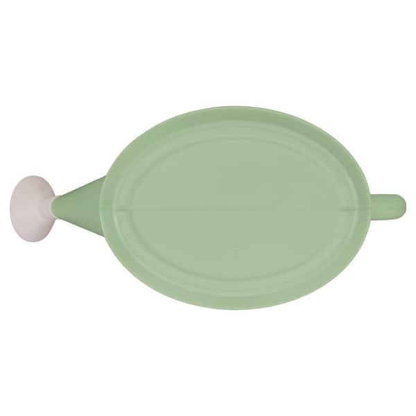 Vigoro 2 Gal. Rosemary Green Modern Multi-Grip High-Density