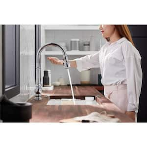 Artifacts Single-Handle Pull Down Sprayer Kitchen Faucet in Vibrant Brushed Bronze