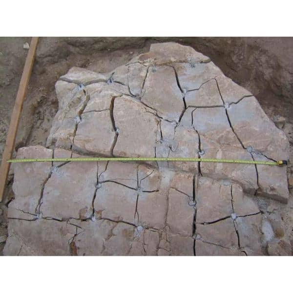 Dexpan 44 Lb Expansive Demolition Grout for Concrete and Rock