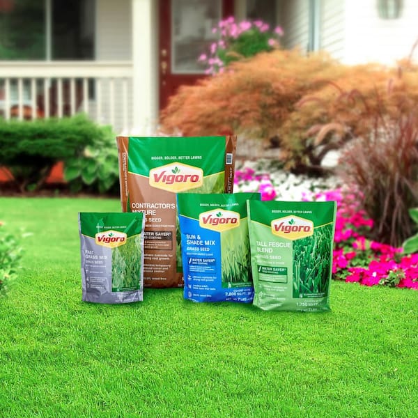 GRASS.S Reviews for Vigoro 20 lbs. Contractor's Grass Seed Northern