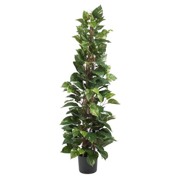 Nearly Natural 63 in. Artificial Pothos Climbing Silk Plant