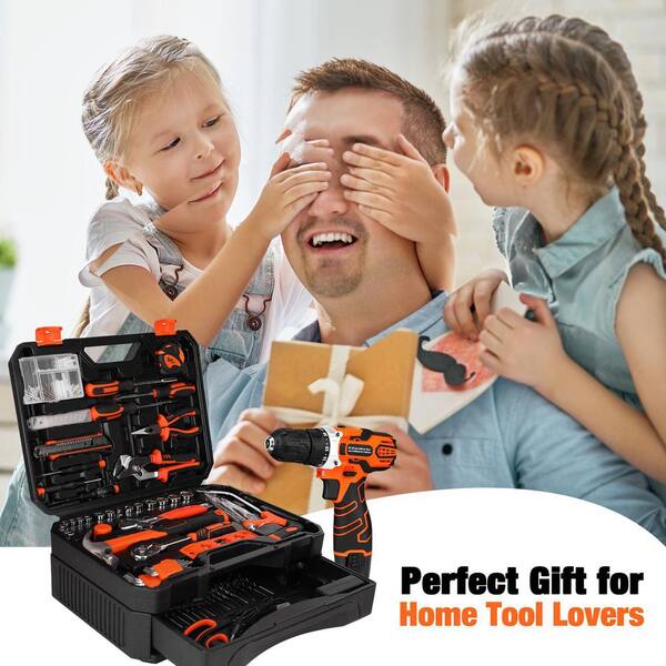 Laybus 255-Piece Tool Set, Tool Kit with Cordless Drill Driver