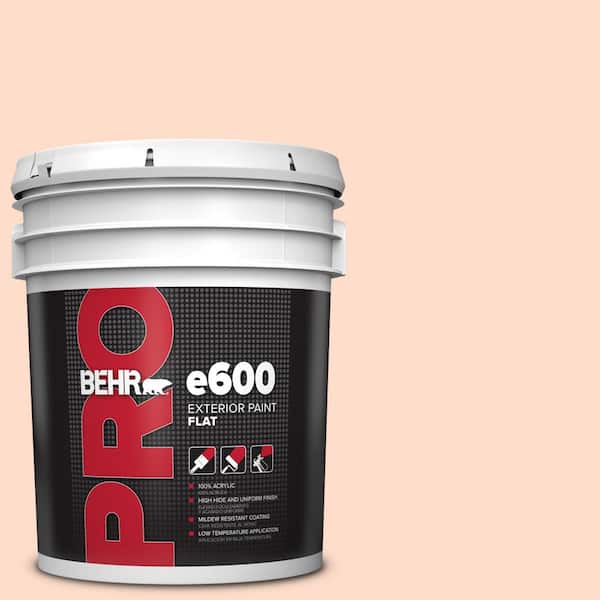 BEHR PRO 5 gal. #230A-2 Beach Trail Flat Exterior Paint