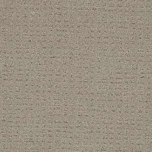 Wandering Scout - Barley - Beige 28 oz. SD Polyester Pattern Installed Carpet