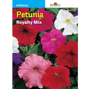 Petunia Royalty Mix Seed