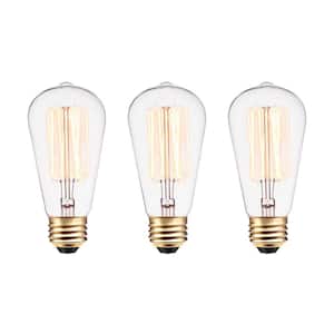 60 Watt ST19 Dimmable Cage Filament Vintage Edison Incandescent Light Bulb, Warm White Light (3-Pack)