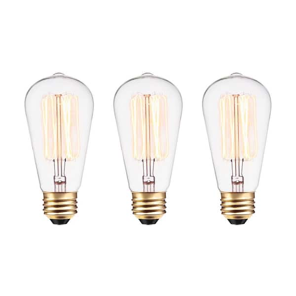 Globe Electric 60 Watt ST19 Dimmable Cage Filament Vintage Edison Incandescent Light Bulb, Warm White Light (3-Pack)