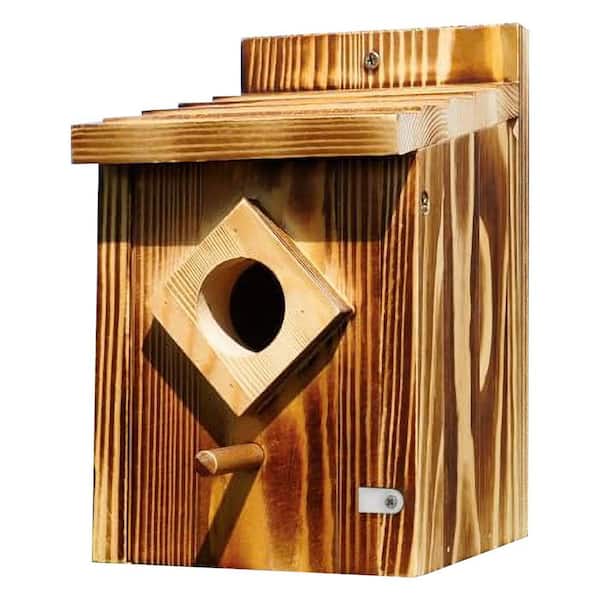 .N/A Waterproof Wooden Blue Bird House Spray Paint Treated Outdoor ...