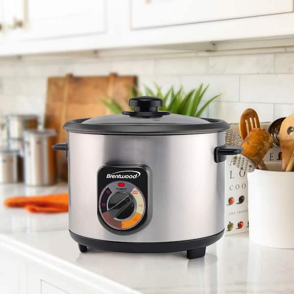 https://images.thdstatic.com/productImages/6cfc4ad0-343b-45dc-97c0-d98acbd5fa33/svn/silver-brentwood-rice-cookers-985116290m-1d_600.jpg
