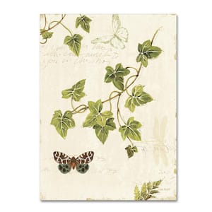 19 in. x 14 in. "Ivies and Ferns II" by Lisa Audit Printed Canvas Wall Art