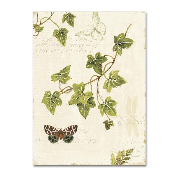 Trademark Fine Art 19 in. x 14 in. "Ivies and Ferns II" by Lisa Audit Printed Canvas Wall Art