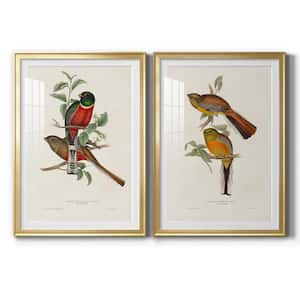 Elegant Trogons III By Wexford Homes 2-Pieces Framed Abstract Paper Art Print 22.5 in. x 30.5 in.