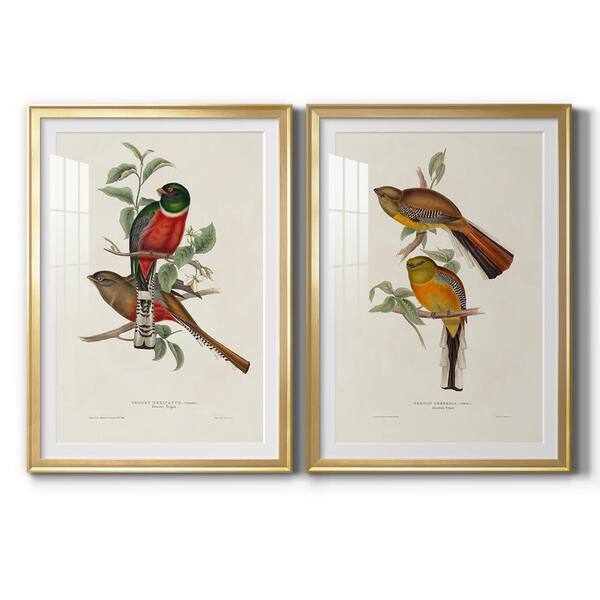 Wexford Home Elegant Trogons III By Wexford Homes 2-Pieces Framed Abstract Paper Art Print 22.5 in. x 30.5 in.