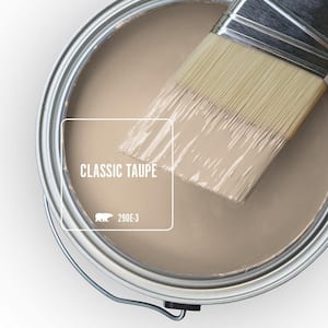 290E-3 Classic Taupe Paint