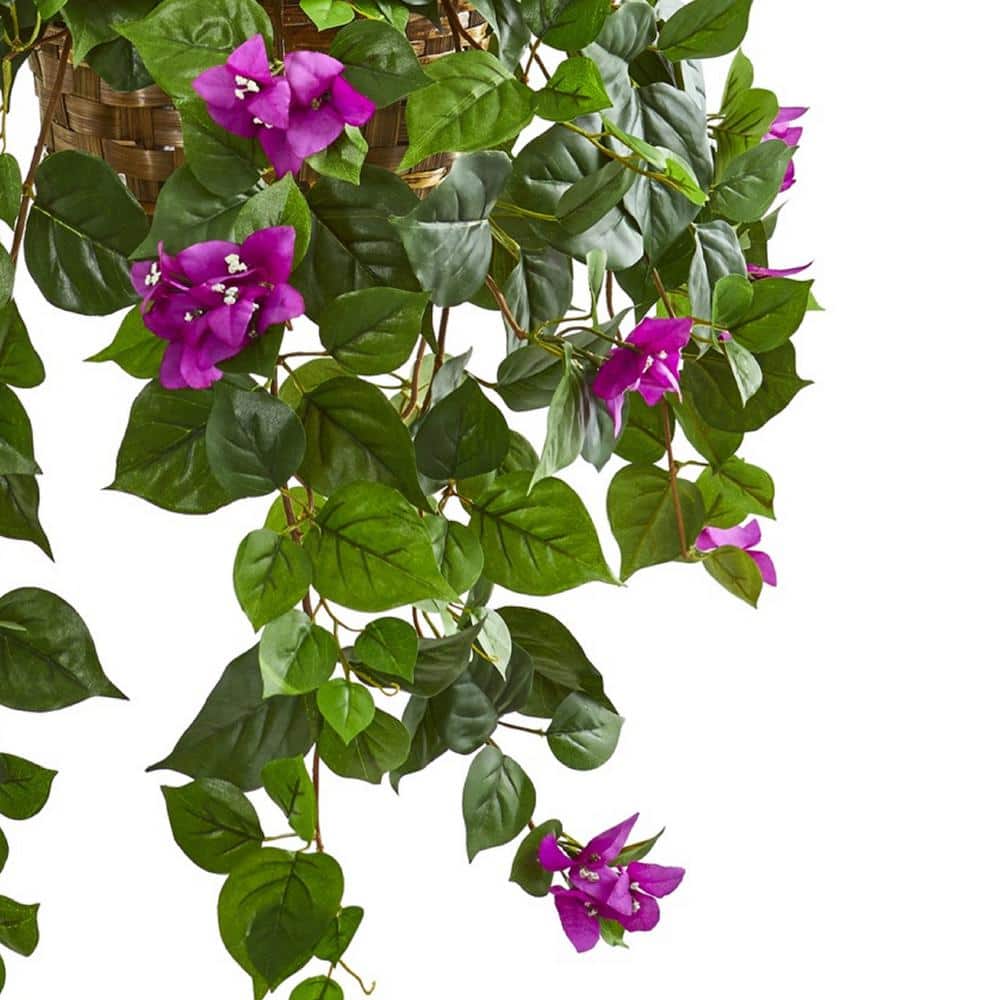 Elegant Outdoor Bougainvillea in Wooden Hanging Basket