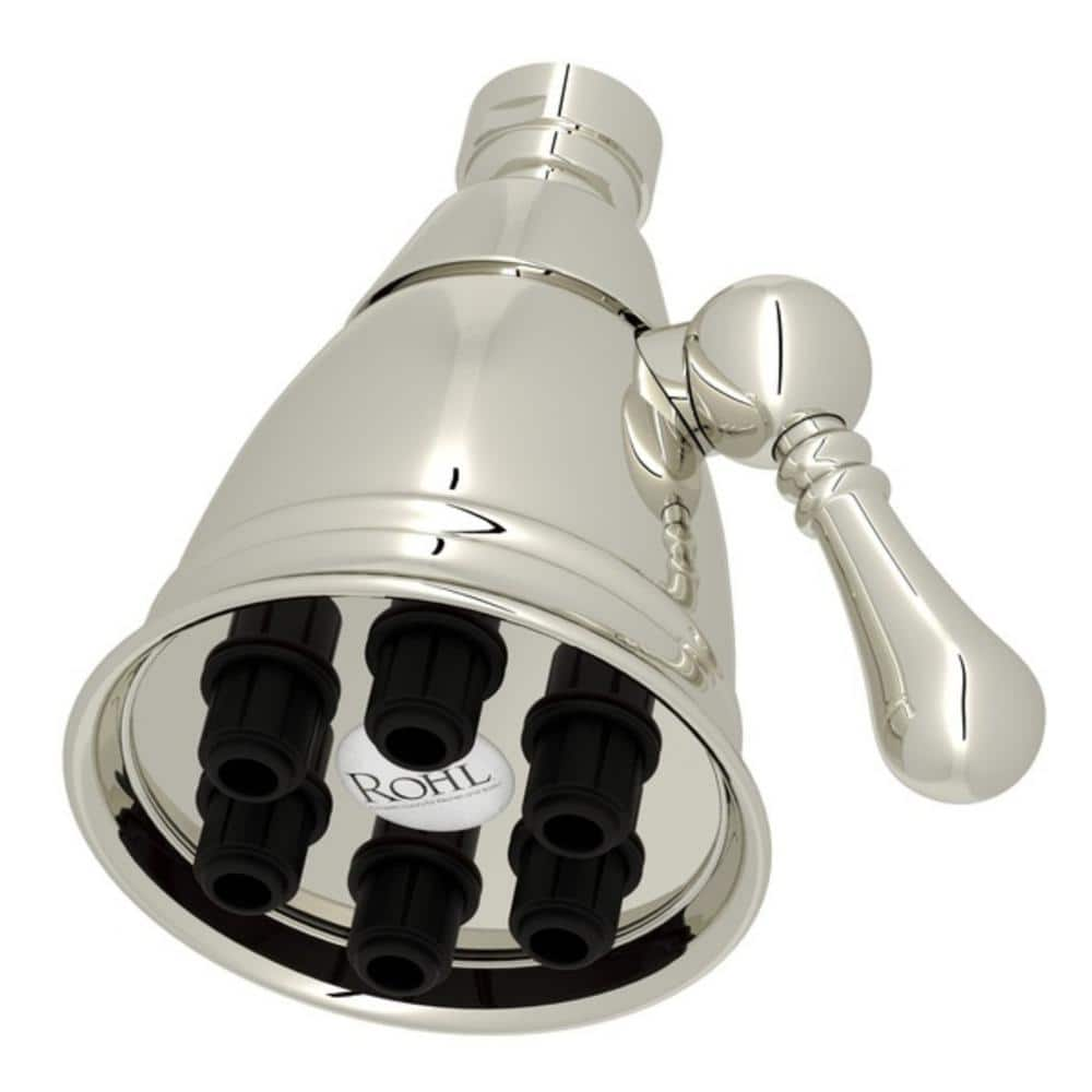 UPC 826712003692 product image for 1-Spray Patterns 2.88 in. Wall Mount Fixed Shower Head in Polished Nickel | upcitemdb.com