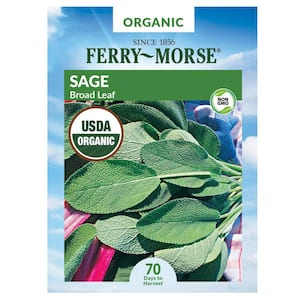 Organic Sage Herb Seed