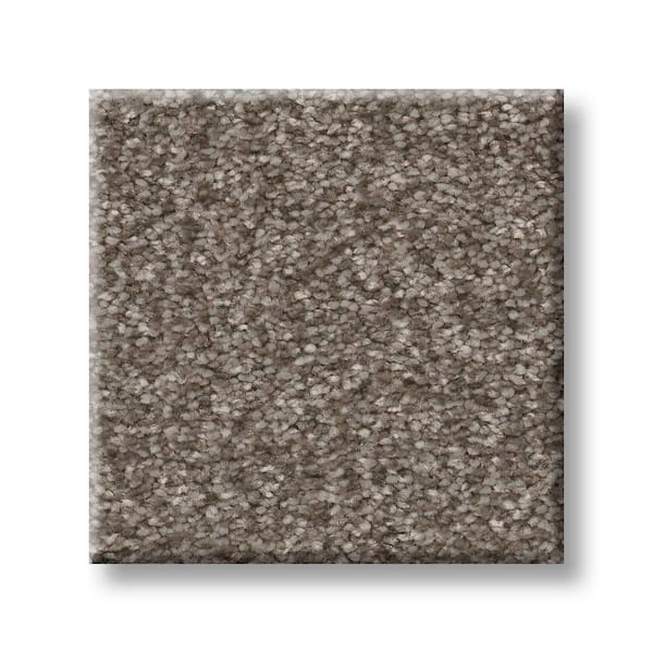 Lifeproof 8 in. x 8 in. Texture Carpet Sample - Rosemary II -Color Wooly