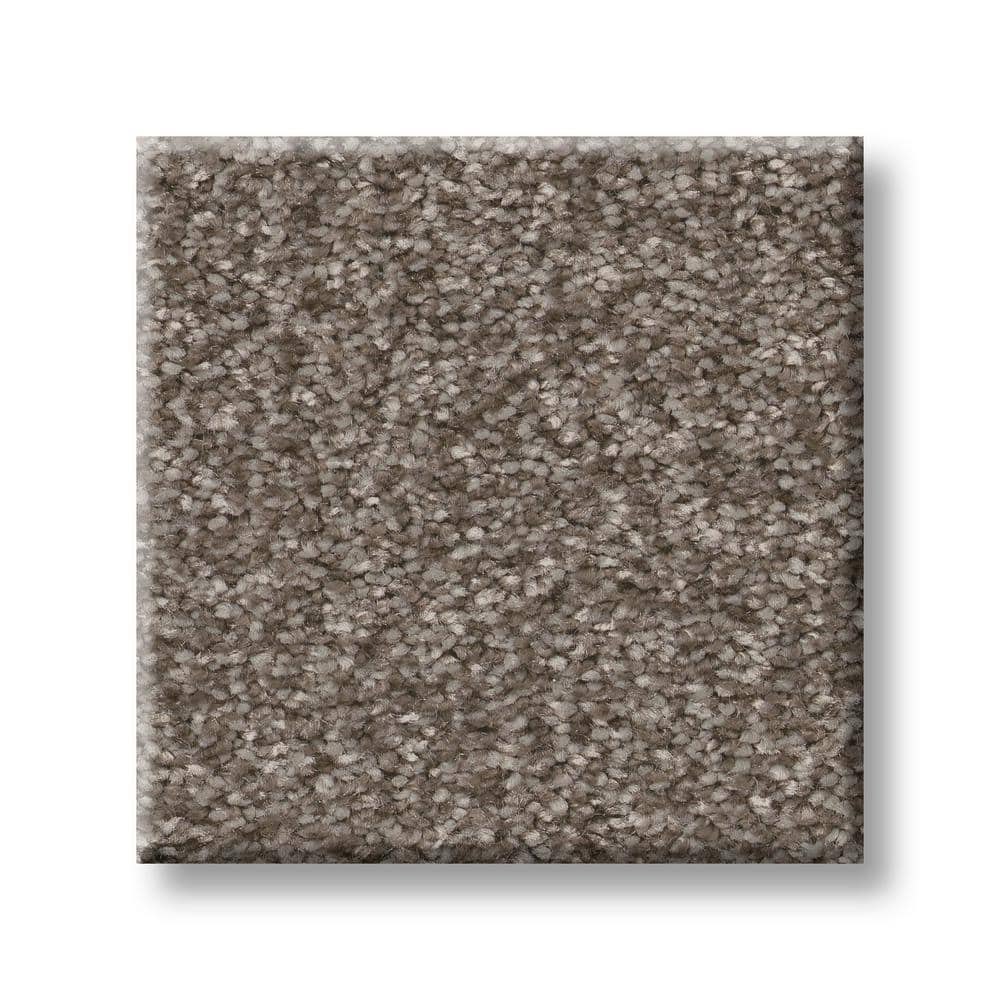 8 in. x 8 in. Texture Carpet Sample - Rosemary I -Color Wooly price history on PriceWatchPro